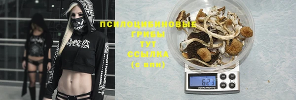 ешки Краснотурьинск