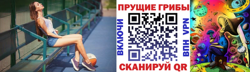 Купить где  Сосенский  Галлюциногенные грибы Psilocybe 